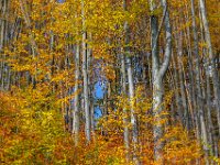 Beskid Niski